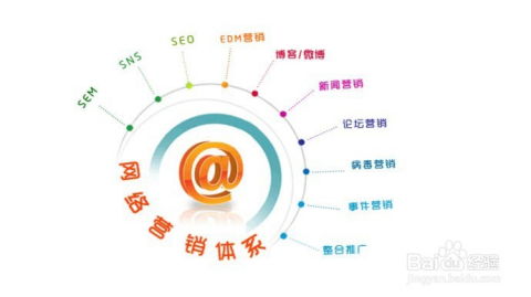 網(wǎng)絡(luò)銷(xiāo)售的主要方式 網(wǎng)絡(luò)信息推廣與銷(xiāo)售策略解析